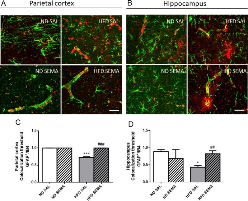 https://cdn.ncbi.nlm.nih.gov/pmc/blobs/45fd/11699651/3e8e2c33ccc6/13098_2024_1528_Fig6_HTML.jpg