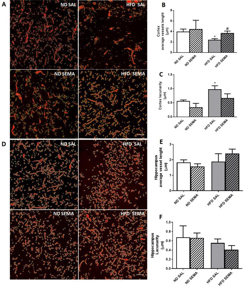 https://cdn.ncbi.nlm.nih.gov/pmc/blobs/45fd/11699651/780acfeecec2/13098_2024_1528_Fig5_HTML.jpg