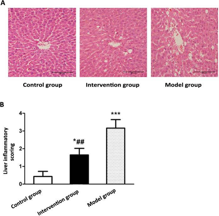https://cdn.ncbi.nlm.nih.gov/pmc/blobs/45fe/5368635/8a999fe7696e/srep45176-f8.jpg