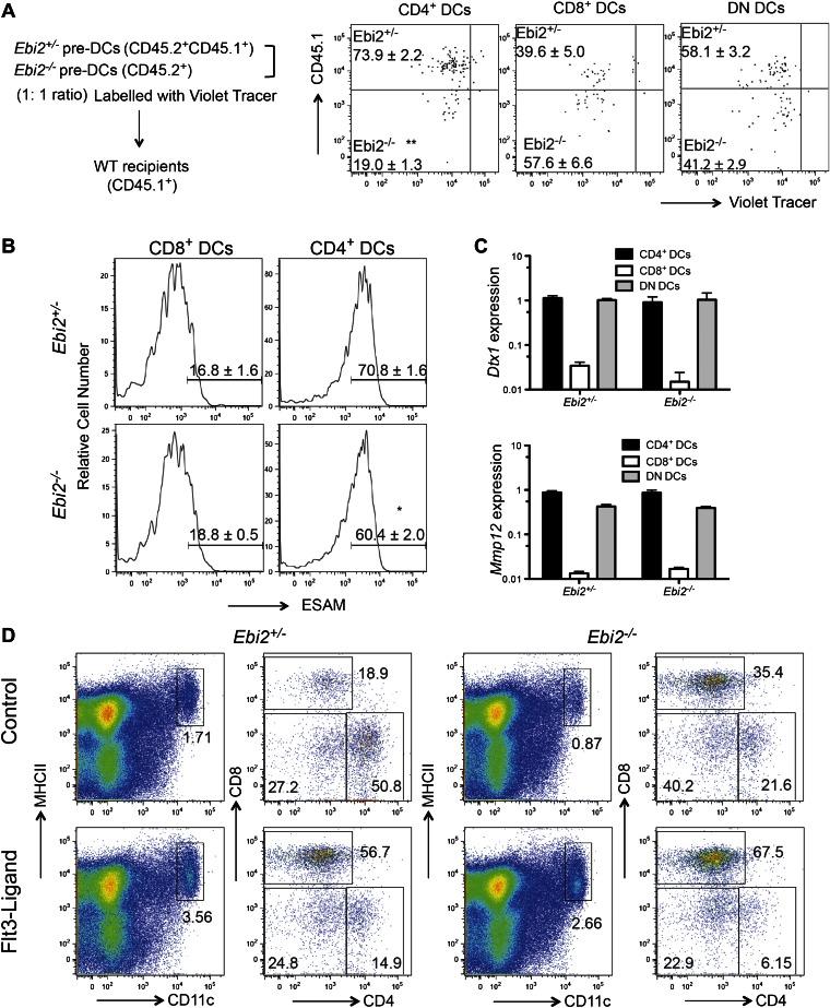 https://cdn.ncbi.nlm.nih.gov/pmc/blobs/4600/3654440/0658270bbf96/elife00757fs002.jpg