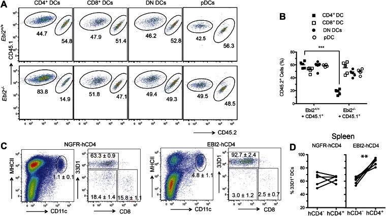 https://cdn.ncbi.nlm.nih.gov/pmc/blobs/4600/3654440/887f79df80b0/elife00757f002.jpg