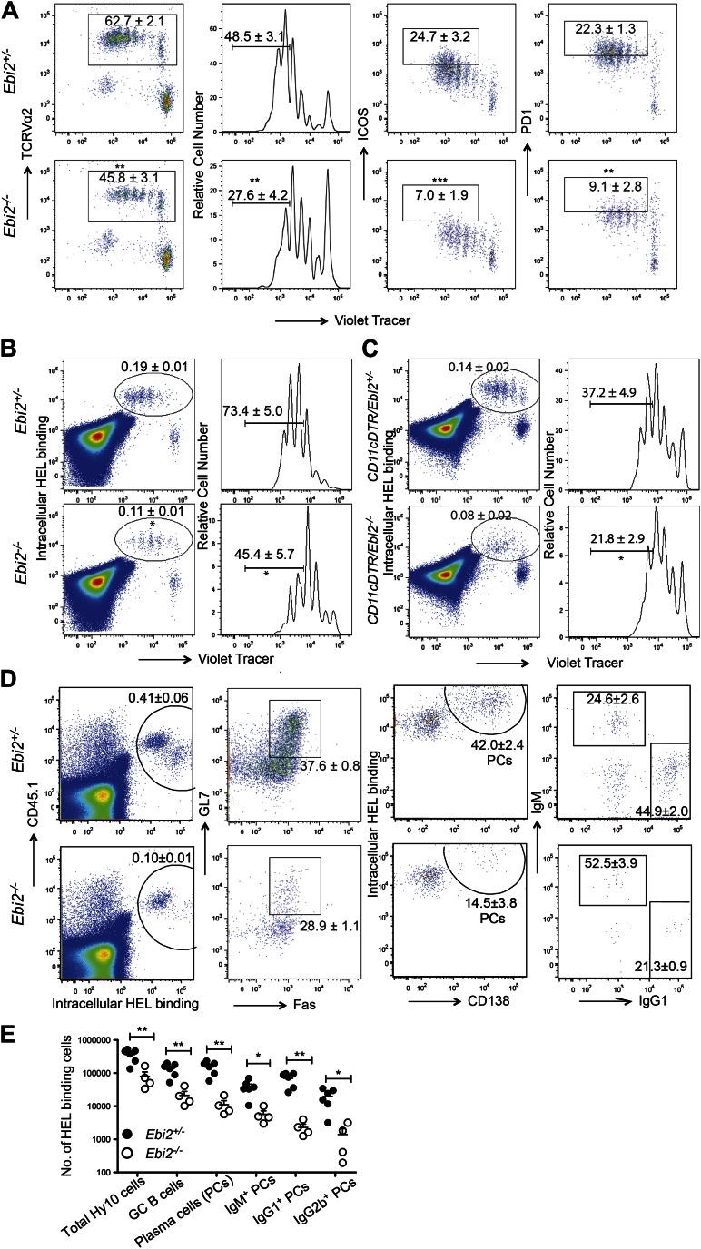 https://cdn.ncbi.nlm.nih.gov/pmc/blobs/4600/3654440/953b85b61bac/elife00757f007.jpg