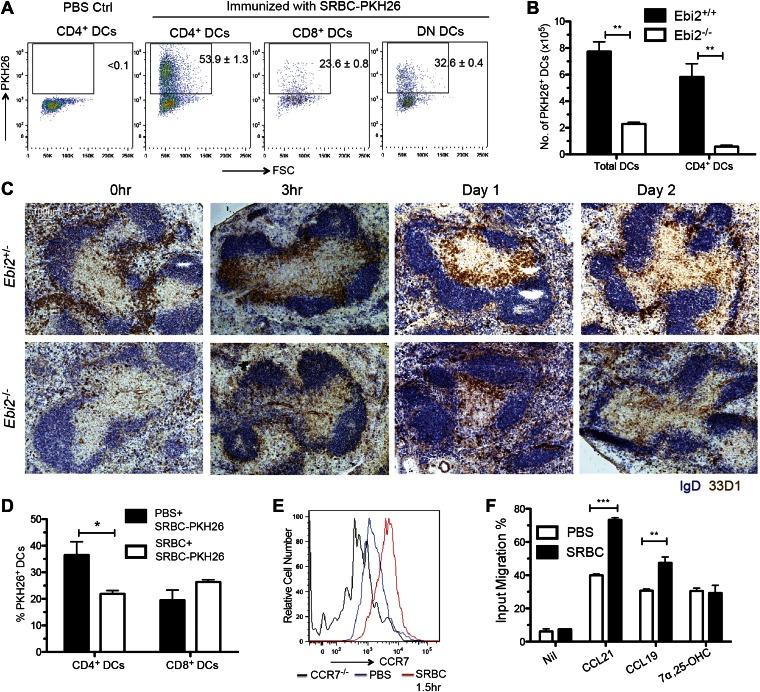 https://cdn.ncbi.nlm.nih.gov/pmc/blobs/4600/3654440/cf952ac23282/elife00757f006.jpg