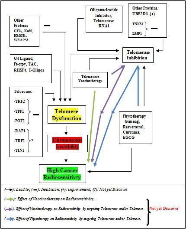 https://cdn.ncbi.nlm.nih.gov/pmc/blobs/4600/6201854/0a26ebd62c8c/oncotarget-09-35008-g002.jpg