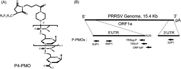 https://cdn.ncbi.nlm.nih.gov/pmc/blobs/4601/7117520/24abe3973627/gr1.jpg