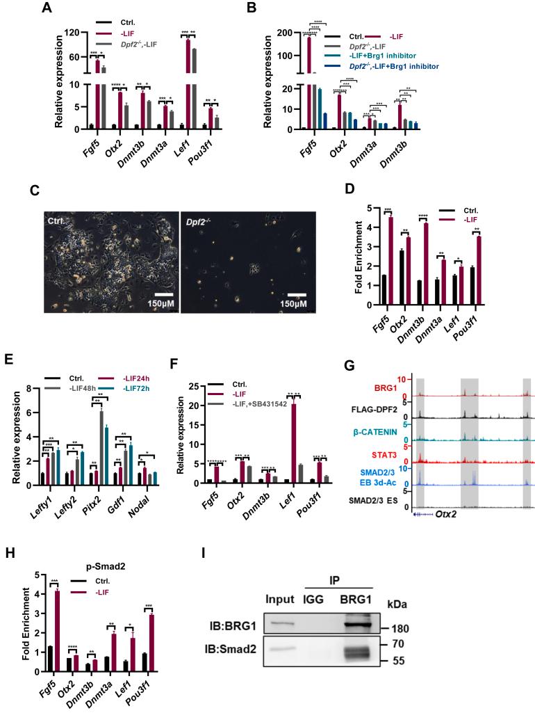 https://cdn.ncbi.nlm.nih.gov/pmc/blobs/4606/11791114/1e0f2bd43ddb/gr4.jpg