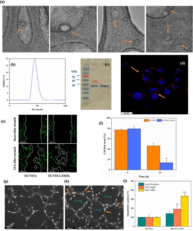 https://cdn.ncbi.nlm.nih.gov/pmc/blobs/4606/12090194/0b78c2e2be55/d5ra02940f-f1.jpg
