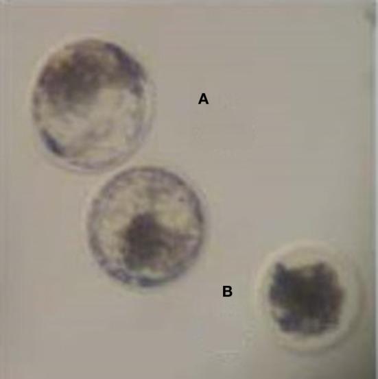 https://cdn.ncbi.nlm.nih.gov/pmc/blobs/4606/4006060/b91828fddc63/fgene-05-00091-g0001.jpg