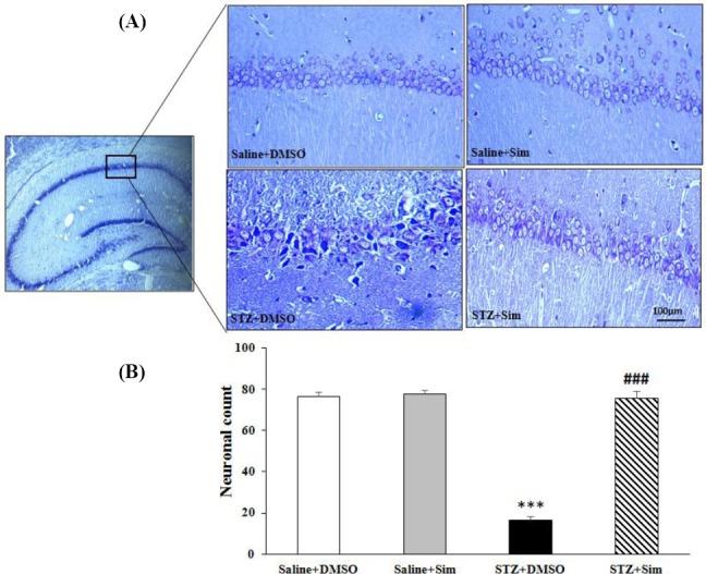 https://cdn.ncbi.nlm.nih.gov/pmc/blobs/4607/6462290/7096920c451f/IBJ-23-262-g004.jpg
