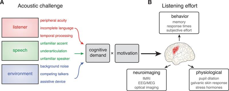 https://cdn.ncbi.nlm.nih.gov/pmc/blobs/4609/5839699/36f089db31c0/aud-39-204-g001.jpg