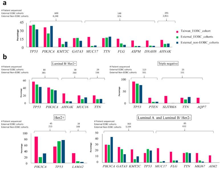https://cdn.ncbi.nlm.nih.gov/pmc/blobs/460a/7464007/30d26c538361/cancers-12-02089-g002.jpg