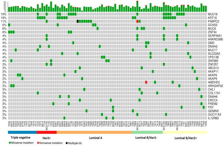 https://cdn.ncbi.nlm.nih.gov/pmc/blobs/460a/7464007/62b8ff3cb8ec/cancers-12-02089-g003.jpg