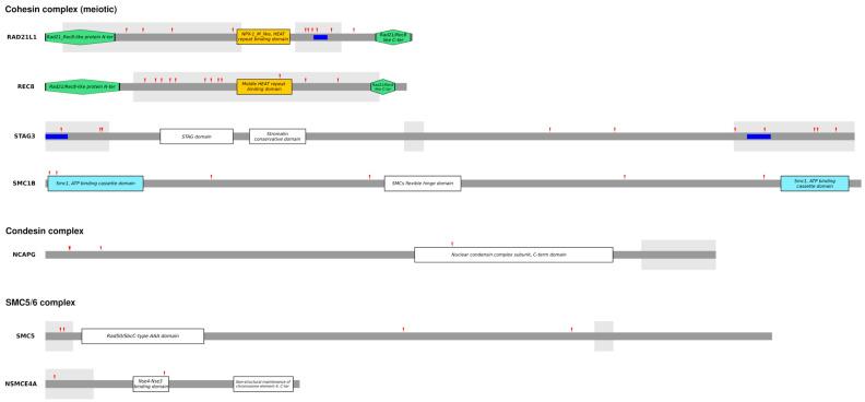 https://cdn.ncbi.nlm.nih.gov/pmc/blobs/460b/11431564/20816ed0ead2/genes-15-01159-g002.jpg