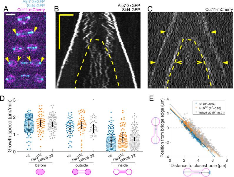 https://cdn.ncbi.nlm.nih.gov/pmc/blobs/460c/9018073/29bd9c7c0c75/elife-72630-fig3.jpg