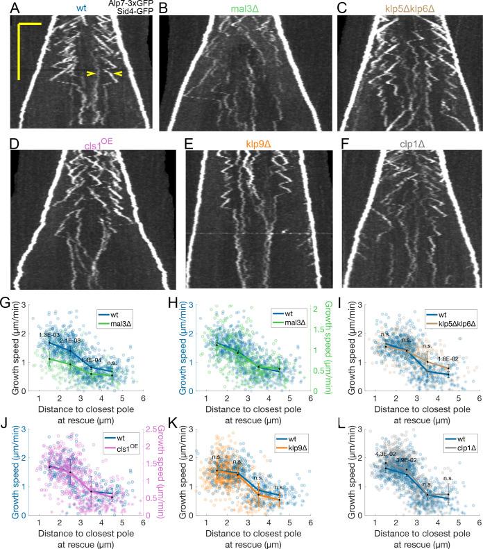 https://cdn.ncbi.nlm.nih.gov/pmc/blobs/460c/9018073/35502cf22674/elife-72630-fig2.jpg