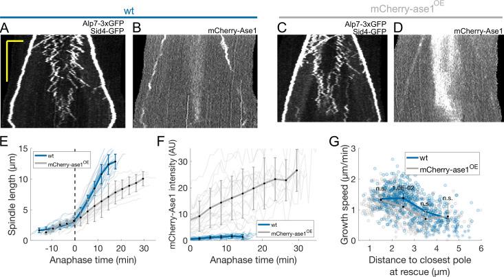 https://cdn.ncbi.nlm.nih.gov/pmc/blobs/460c/9018073/394e26d9e17d/elife-72630-fig5-figsupp2.jpg