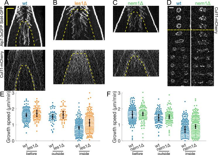 https://cdn.ncbi.nlm.nih.gov/pmc/blobs/460c/9018073/f1be0158ad67/elife-72630-fig4-figsupp2.jpg
