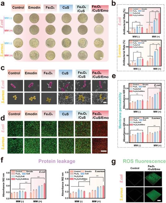 https://cdn.ncbi.nlm.nih.gov/pmc/blobs/460d/11744657/31ce0ec8fbfe/ADVS-12-2409979-g001.jpg