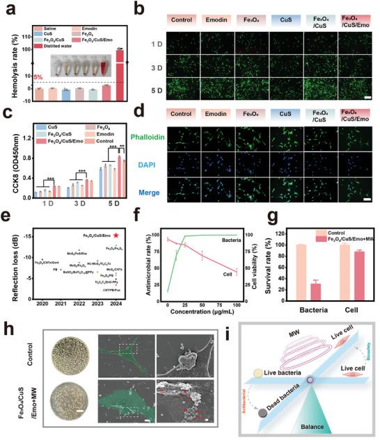 https://cdn.ncbi.nlm.nih.gov/pmc/blobs/460d/11744657/407cc98fcdc8/ADVS-12-2409979-g002.jpg