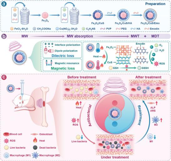 https://cdn.ncbi.nlm.nih.gov/pmc/blobs/460d/11744657/abee19a95111/ADVS-12-2409979-g005.jpg