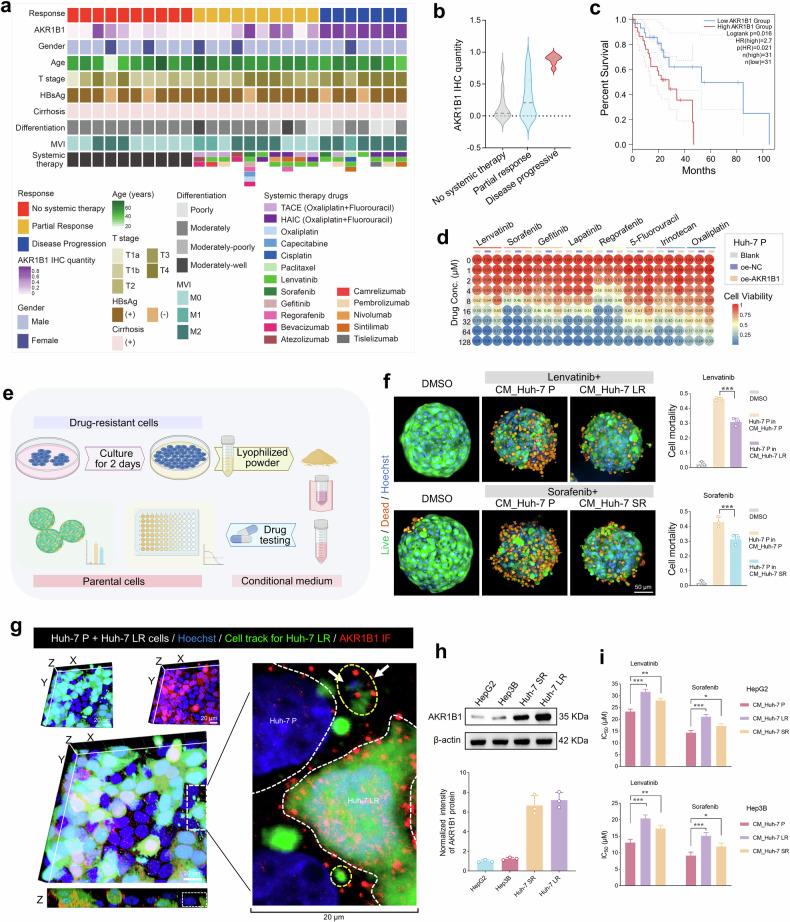 https://cdn.ncbi.nlm.nih.gov/pmc/blobs/460e/12317016/05f3ad4a9383/41392_2025_2321_Fig5_HTML.jpg