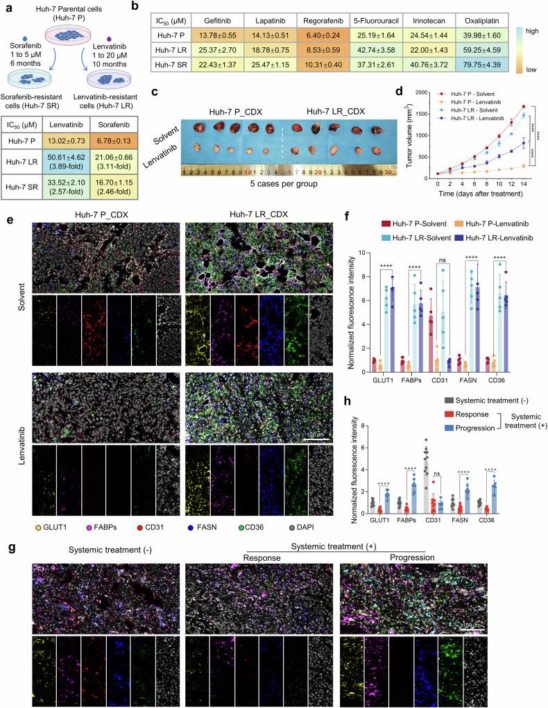 https://cdn.ncbi.nlm.nih.gov/pmc/blobs/460e/12317016/338497fc5c8c/41392_2025_2321_Fig1_HTML.jpg