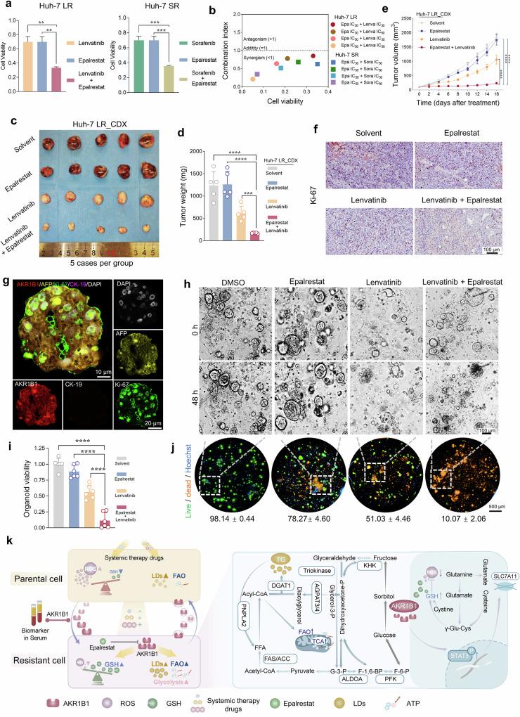 https://cdn.ncbi.nlm.nih.gov/pmc/blobs/460e/12317016/3cf2a573e933/41392_2025_2321_Fig6_HTML.jpg