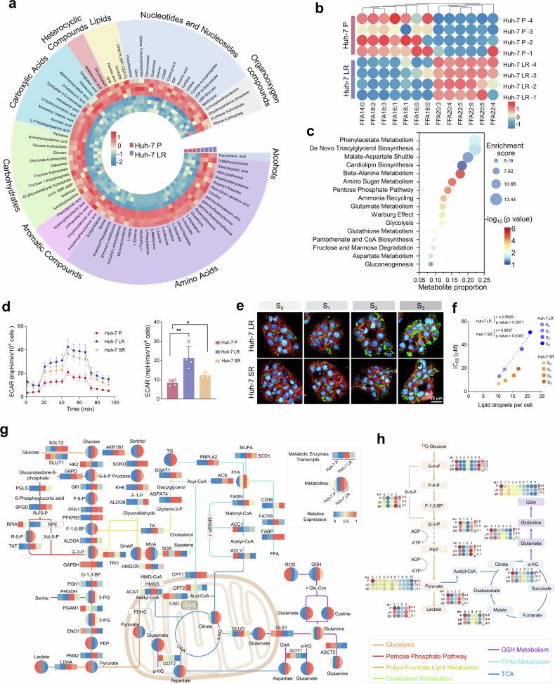 https://cdn.ncbi.nlm.nih.gov/pmc/blobs/460e/12317016/75d1dc8a04db/41392_2025_2321_Fig3_HTML.jpg