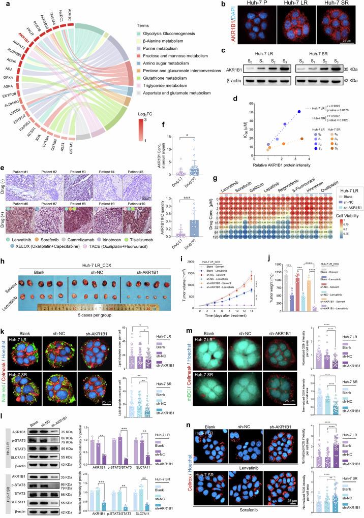 https://cdn.ncbi.nlm.nih.gov/pmc/blobs/460e/12317016/a52f9386f2ca/41392_2025_2321_Fig4_HTML.jpg