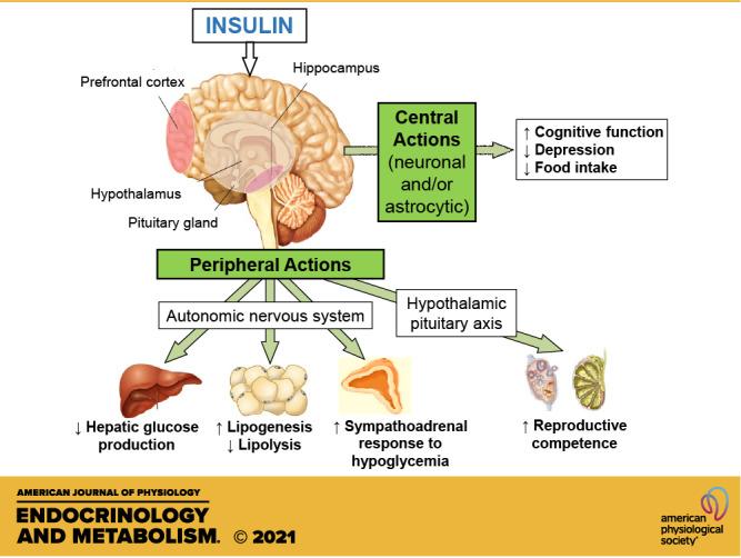 https://cdn.ncbi.nlm.nih.gov/pmc/blobs/460e/8321819/5672c6a1000f/e-00642-2020r01.jpg