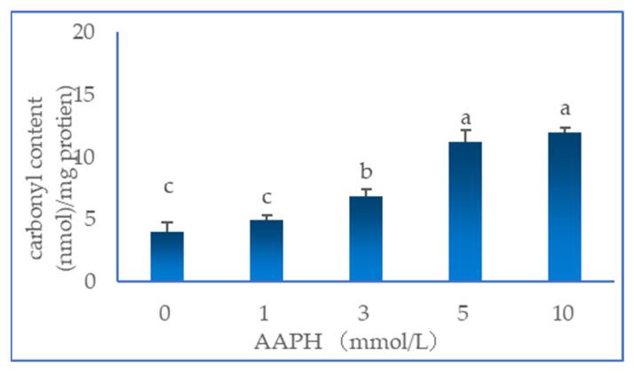 https://cdn.ncbi.nlm.nih.gov/pmc/blobs/4610/10535395/a1b8c81749cc/molecules-28-06721-g001.jpg