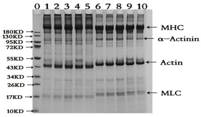https://cdn.ncbi.nlm.nih.gov/pmc/blobs/4610/10535395/d5edc1e9fd3c/molecules-28-06721-g002.jpg