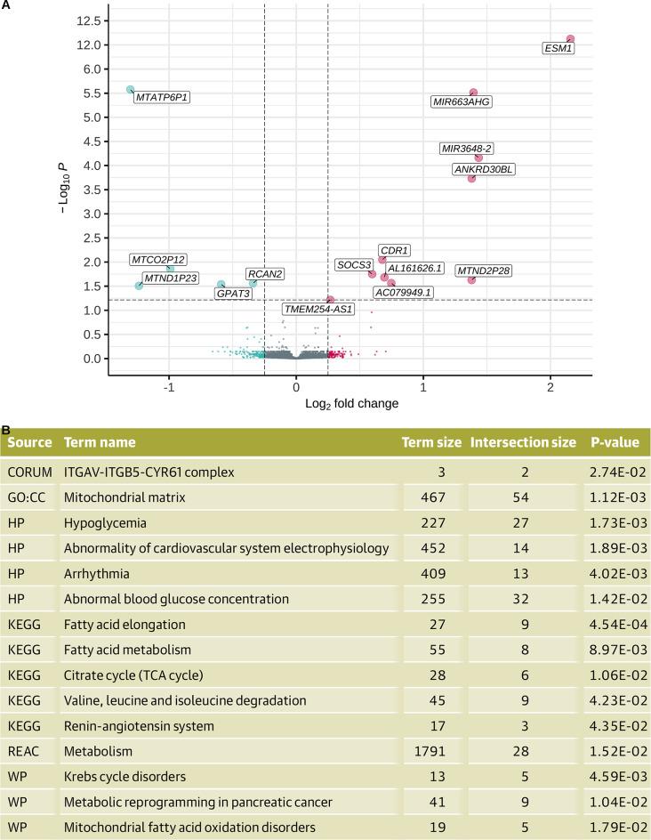 https://cdn.ncbi.nlm.nih.gov/pmc/blobs/4610/12397236/1d45794cb894/41598_2025_13693_Fig4_HTML.jpg
