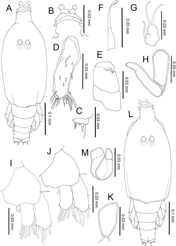 https://cdn.ncbi.nlm.nih.gov/pmc/blobs/4610/3813946/0289677f9313/parasite-20-42-fig4.jpg