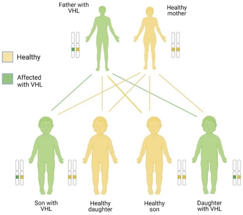 https://cdn.ncbi.nlm.nih.gov/pmc/blobs/4612/11393980/95dd3fe56bbe/diagnostics-14-01909-g004.jpg