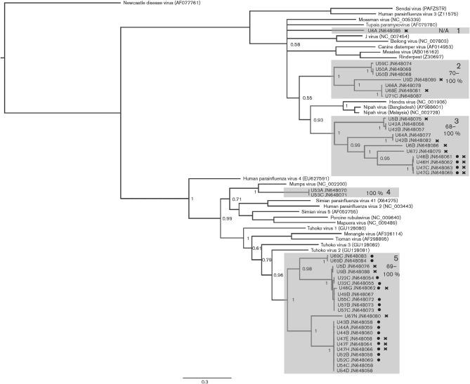 https://cdn.ncbi.nlm.nih.gov/pmc/blobs/4612/3542712/e8437fbbaab1/039339-f1.jpg