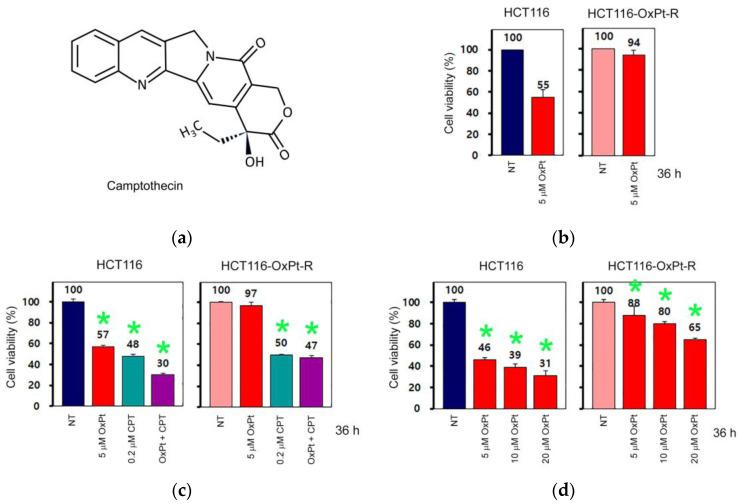 https://cdn.ncbi.nlm.nih.gov/pmc/blobs/4613/10298581/66f9befd2b8a/ijms-24-09867-g003.jpg