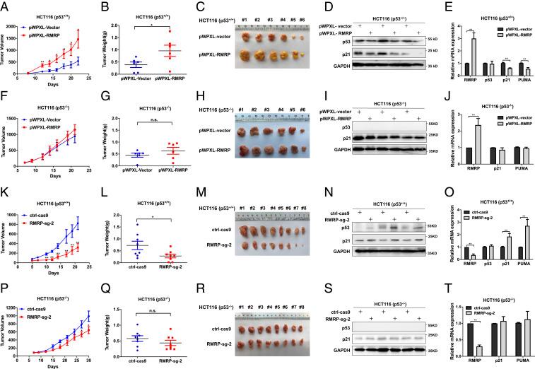 https://cdn.ncbi.nlm.nih.gov/pmc/blobs/4613/8307289/32cfaf8096f9/pnas.2026813118fig04.jpg