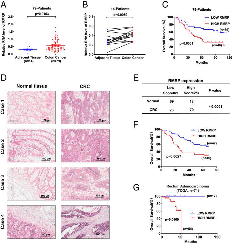 https://cdn.ncbi.nlm.nih.gov/pmc/blobs/4613/8307289/e18ff40b00f7/pnas.2026813118fig01.jpg