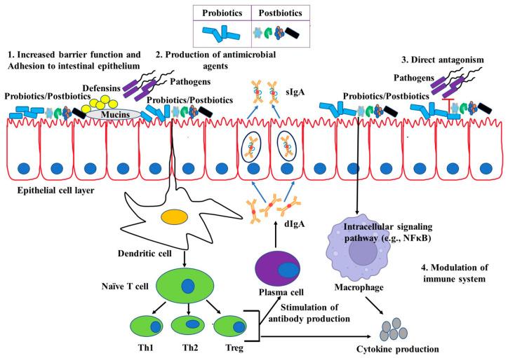 https://cdn.ncbi.nlm.nih.gov/pmc/blobs/4615/10383198/60a2a3307730/pathogens-12-00874-g001.jpg