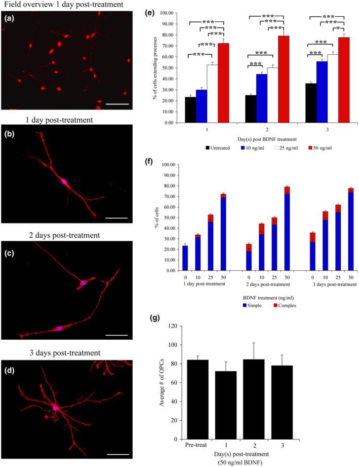 https://cdn.ncbi.nlm.nih.gov/pmc/blobs/4615/7986866/73cb4c79c0fd/JNR-99-1009-g002.jpg