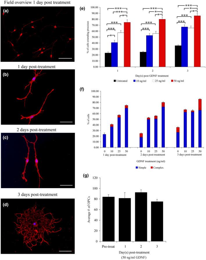 https://cdn.ncbi.nlm.nih.gov/pmc/blobs/4615/7986866/993246699382/JNR-99-1009-g001.jpg