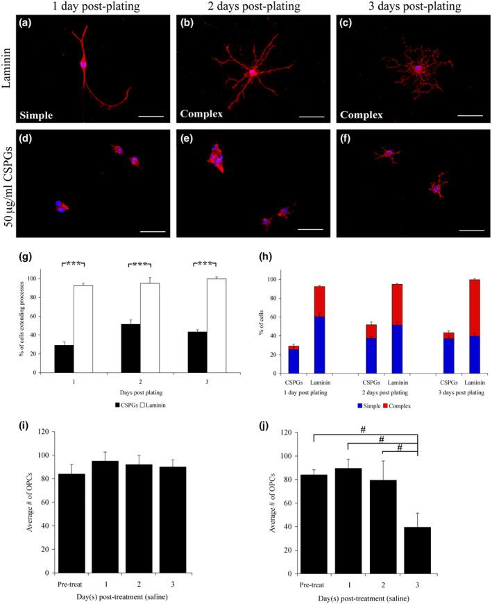 https://cdn.ncbi.nlm.nih.gov/pmc/blobs/4615/7986866/9d00f44d0697/JNR-99-1009-g004.jpg