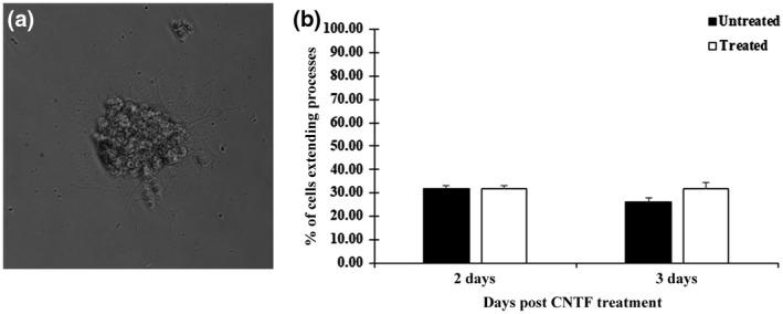 https://cdn.ncbi.nlm.nih.gov/pmc/blobs/4615/7986866/fcf0396da35c/JNR-99-1009-g005.jpg