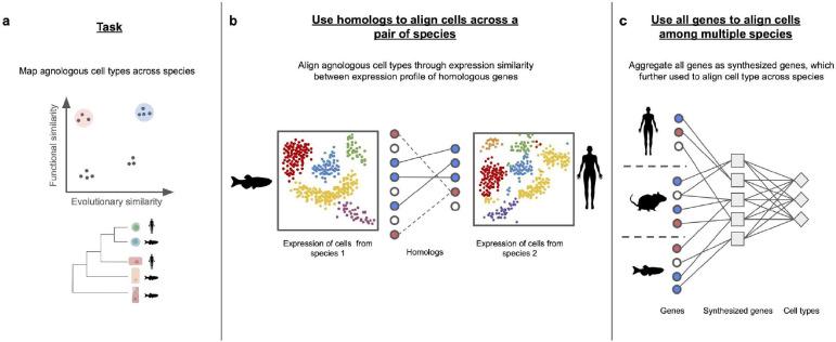 https://cdn.ncbi.nlm.nih.gov/pmc/blobs/4616/11343225/f7054cc9100b/nihpp-2408.08503v1-f0005.jpg