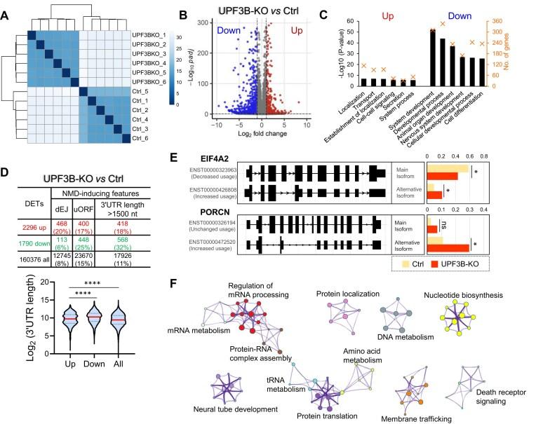 https://cdn.ncbi.nlm.nih.gov/pmc/blobs/4616/12076418/783481aaad3d/gkaf395fig7.jpg
