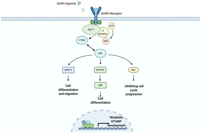 https://cdn.ncbi.nlm.nih.gov/pmc/blobs/4616/8107659/e4952d1f962c/10.1177_2050313X211012516-fig4.jpg