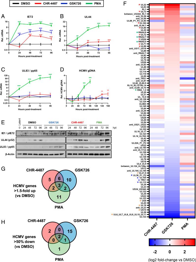 https://cdn.ncbi.nlm.nih.gov/pmc/blobs/461a/7936348/2d40187e7631/pnas.2023025118fig03.jpg