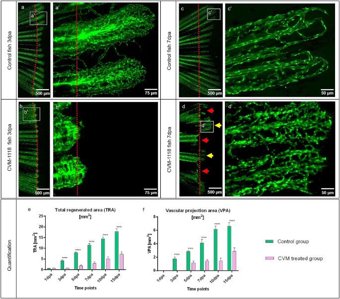 https://cdn.ncbi.nlm.nih.gov/pmc/blobs/461b/11303510/cf6d27da1be9/10456_2024_9914_Fig5_HTML.jpg