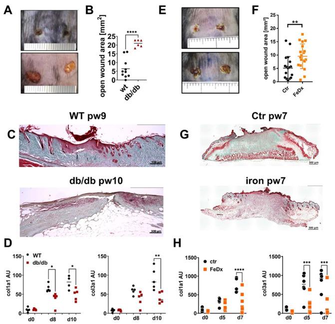 https://cdn.ncbi.nlm.nih.gov/pmc/blobs/461c/11432490/0bbc0a2f0e72/ijms-25-09980-g001.jpg